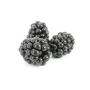 Brombr & Hyben balsamico, 5L