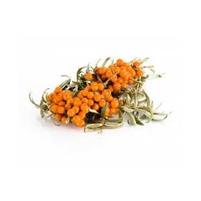 Blbr & Havtorn balsamico, 5L