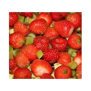 Crema Di Frutta m. Jordbr & Rabarber