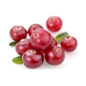 Tranebr creme balsamico, 5L