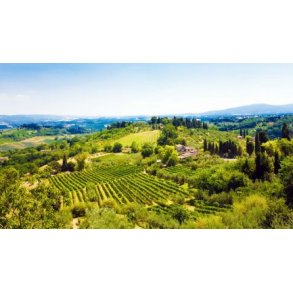 Olivenolie med urter fra Toscana, 5L