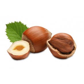 Hasselnd balsamico, 5L