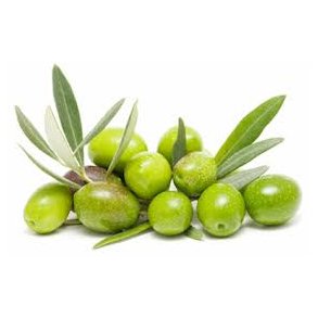 Olivenolie fra Toscana IGP, 5L