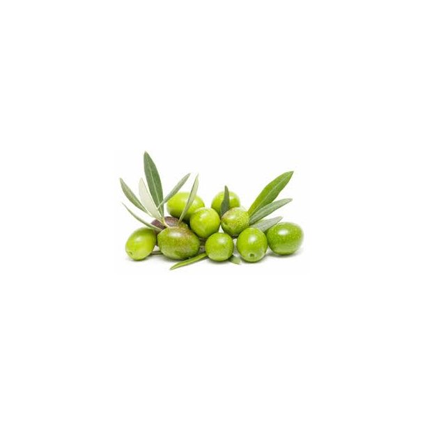 Olivenolie fra Toscana IGP, 5L